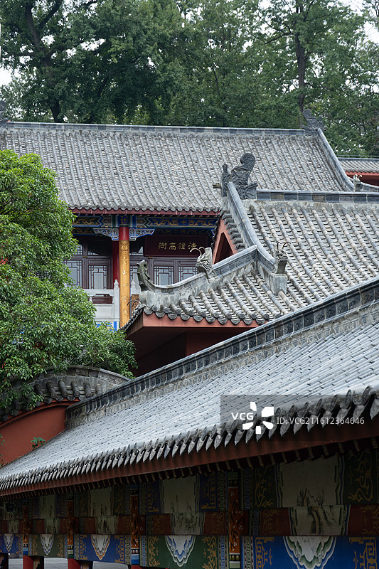 贵阳风景溶洞黔灵山猴子人文图片素材