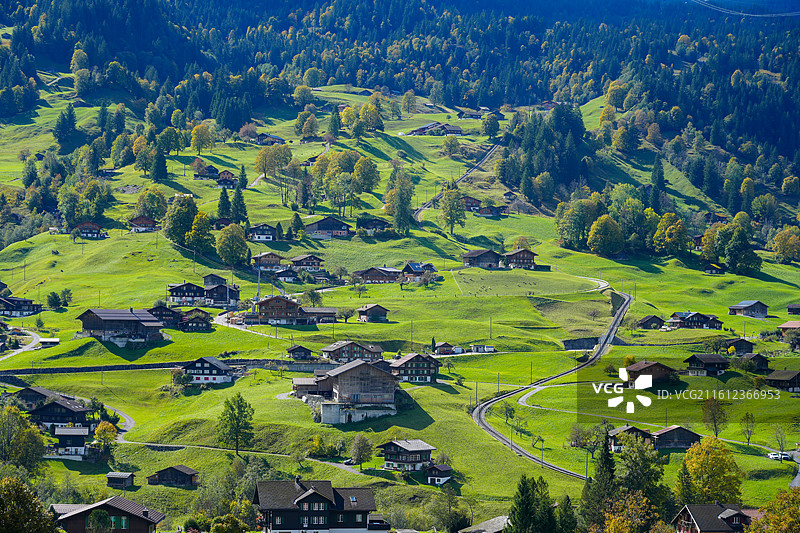 瑞士格林德瓦梦幻山坡风光图片素材