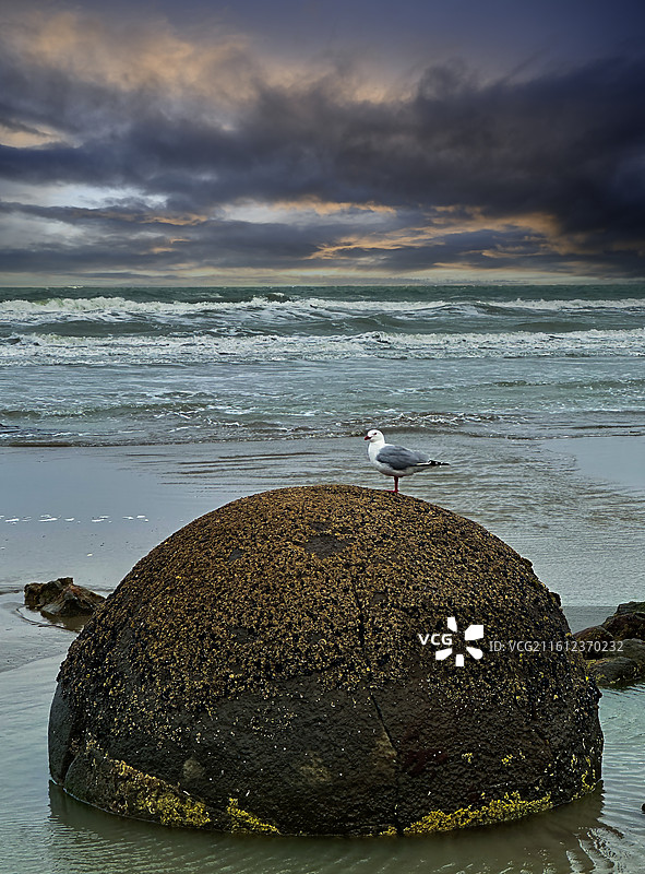 奥马鲁大圆石图片素材