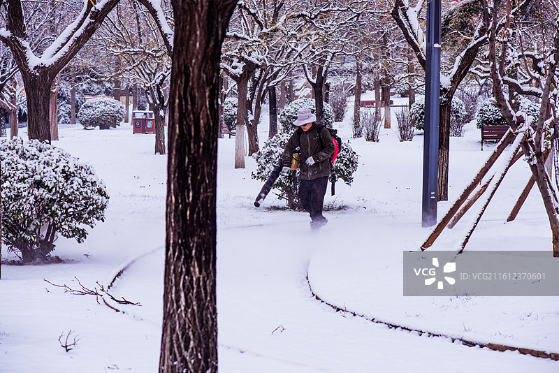 雪后的宁静图片素材