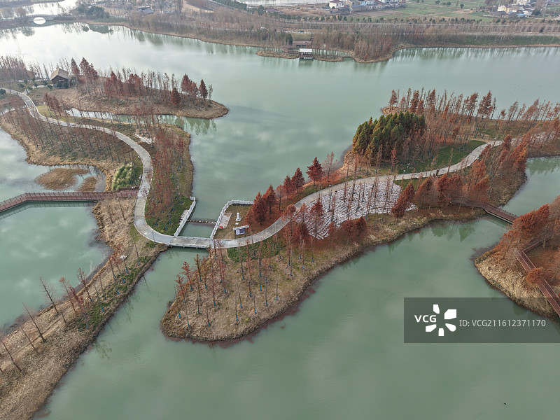 扬州北湖国家湿地公园的冬天图片素材