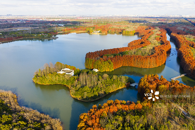 20251226上海海湾森林公园图片素材