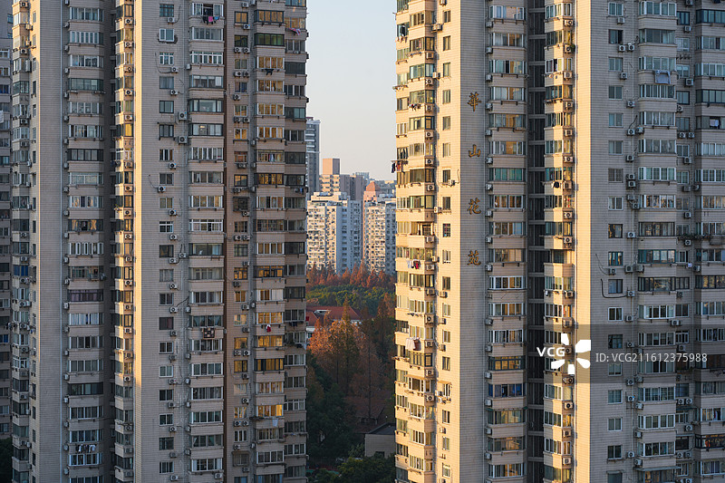 上海徐汇武康路梧桐区洋房秋末冬初街道梧桐树城市风景图片素材