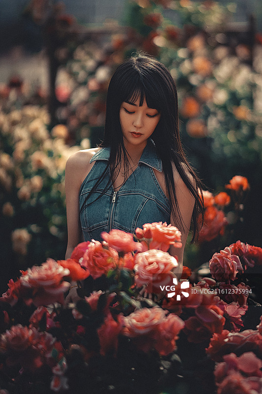 梦境中的月季花园图片素材