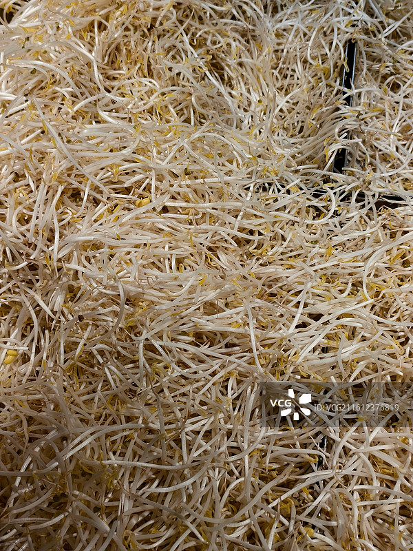 市面上出售的豆芽菜特写图片素材