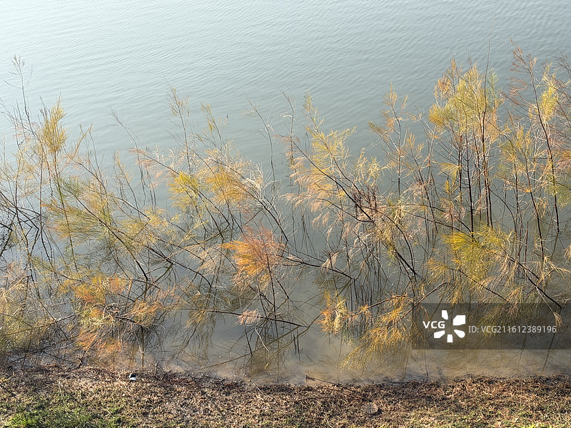 厦门东坪山秋景图片素材