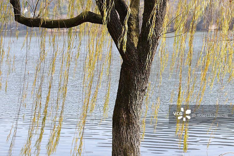 杭州湘湖景区图片素材