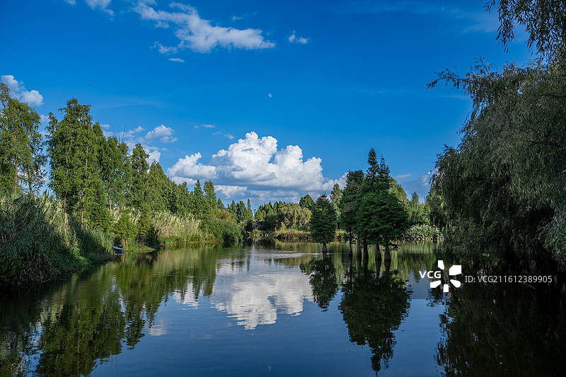 昆明滇池 宝丰湿地公园 森林 湖面倒影  蓝天白云 浪漫云朵 棉花云图片素材