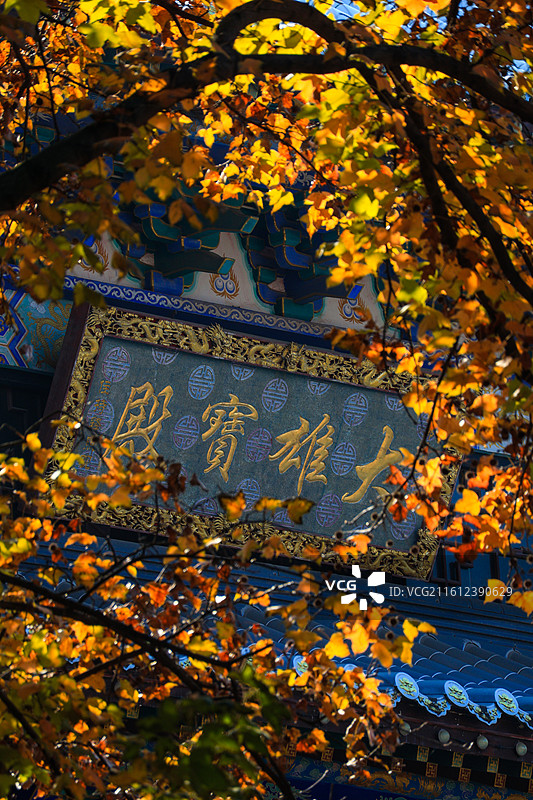 星沙-松柏寺图片素材