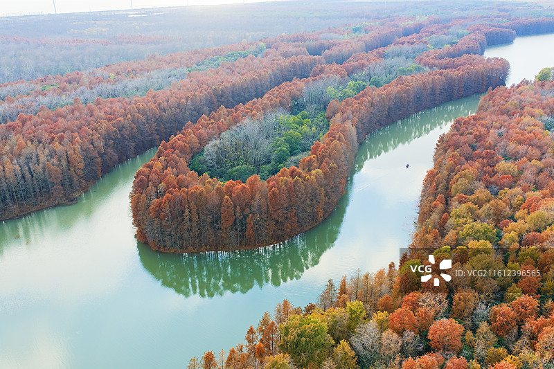 20251226上海海湾森林公园图片素材