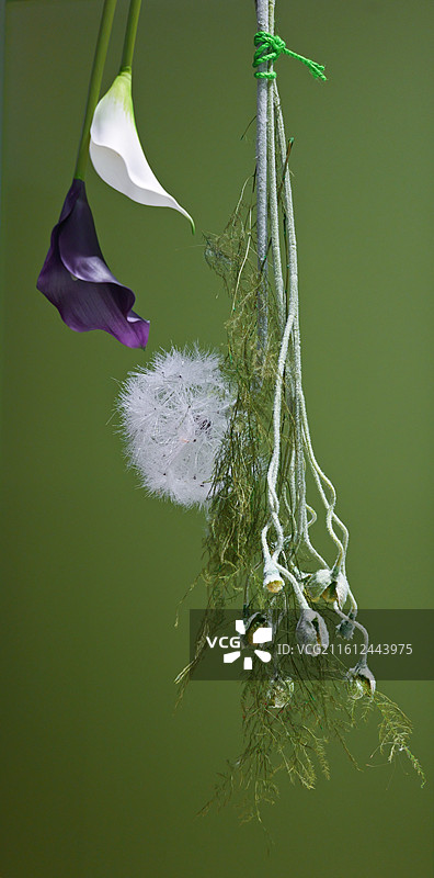 绿色背景下悬挂装饰的清新风格花艺作品图片素材