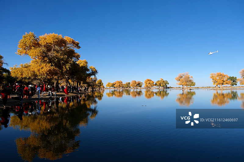 内蒙古阿拉善盟额济纳旗蓝天河流胡杨树倒影金黄图片素材