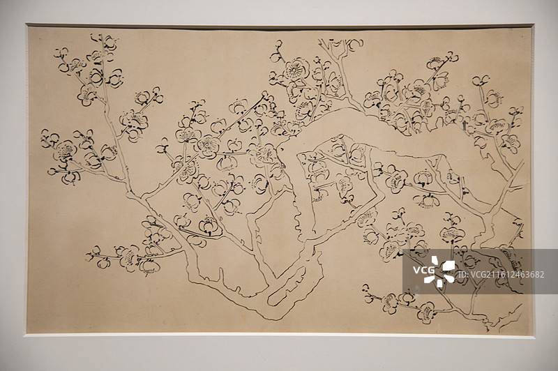 美术馆里展览的齐白石《梅稿》图片素材