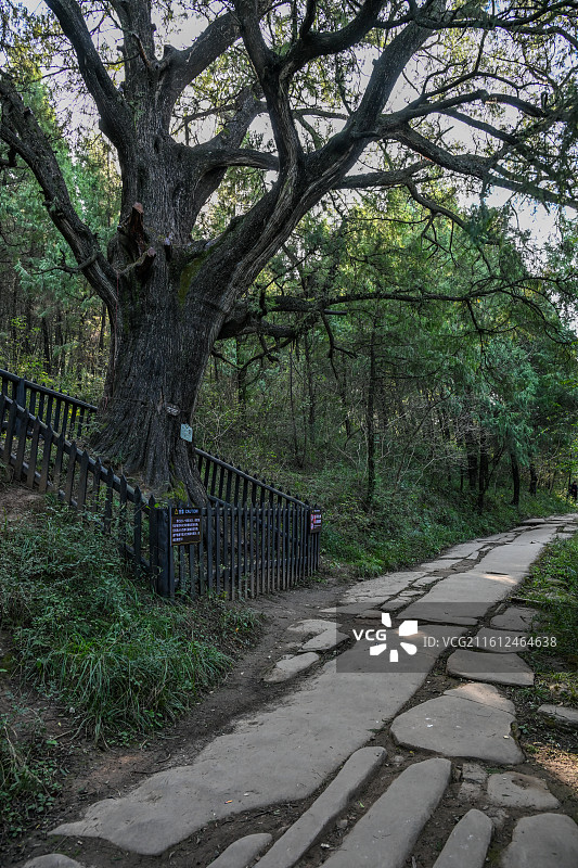 四川省广元市剑阁县剑门蜀道遗址图片素材