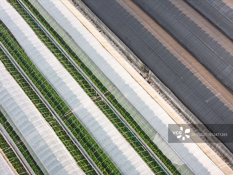 福建厦门天竺山航拍农业大棚与种植区域图片素材