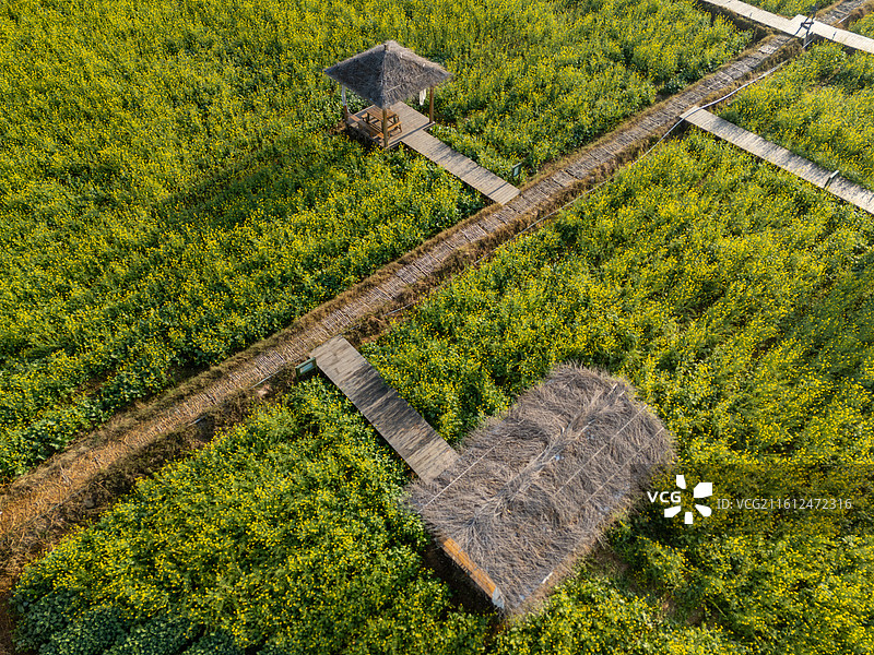 福建厦门天竺山航拍田野中的茅草屋与木栈道图片素材