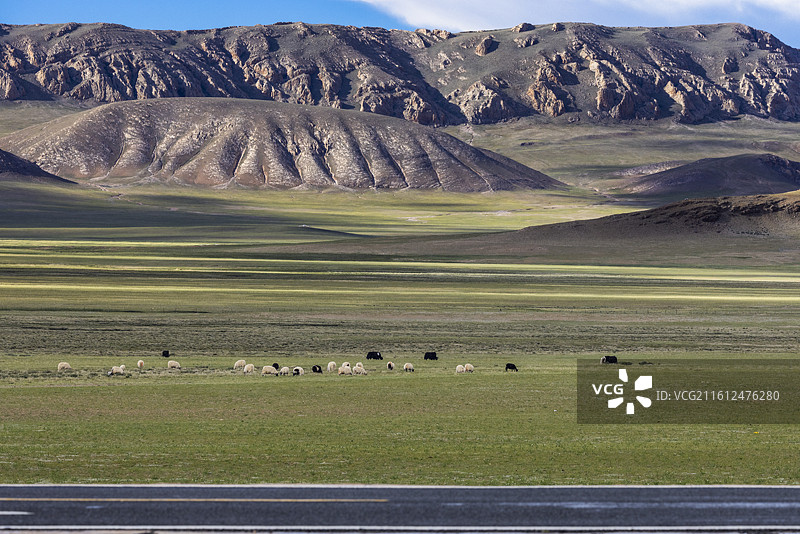 极地那曲那仓申扎图片素材