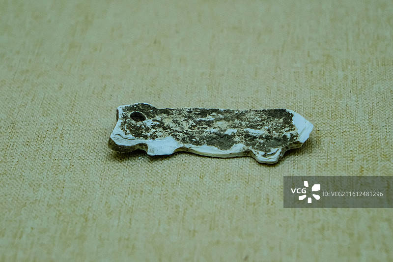 中国海南省三亚市三亚山海贝文化博物馆藏品 ，史前文明，史前砗磲制品，红山文化图片素材