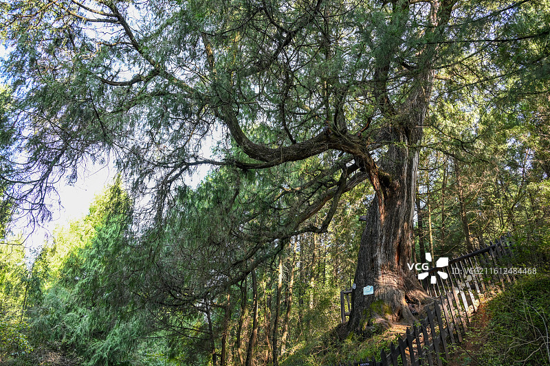 四川省广元市剑阁县剑门蜀道遗址图片素材