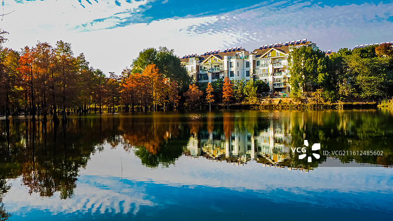 合肥植物园秋色图片素材