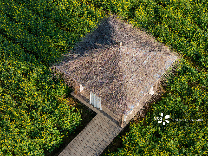 福建厦门天竺山田野中的茅草屋图片素材