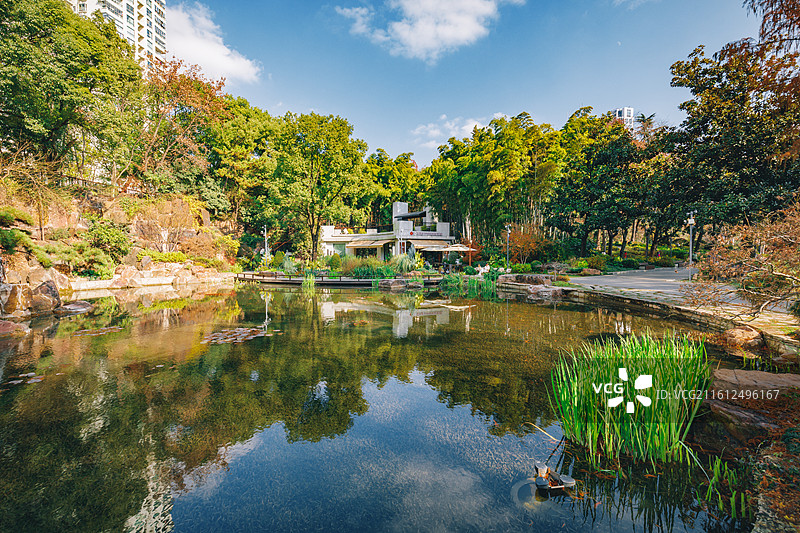 上海市静安区 辅德里公园的秋冬日风光图片素材