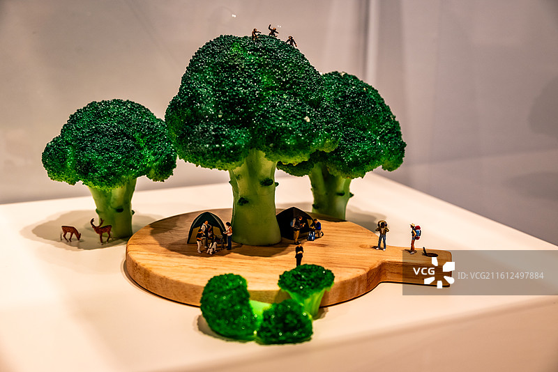 田中达也的微型世界展览图片素材