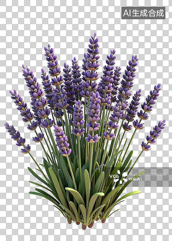 【AI数字艺术】紫色薰衣草花束图片素材
