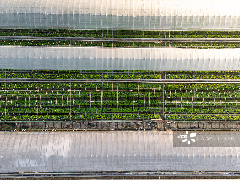 福建厦门天竺山现代化农业大棚群图片素材