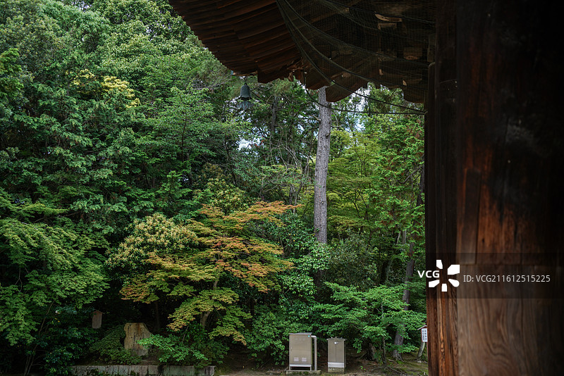 日本奈良唐招提寺图片素材