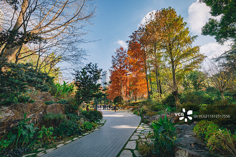 上海市静安区 辅德里公园的秋冬日风光图片素材