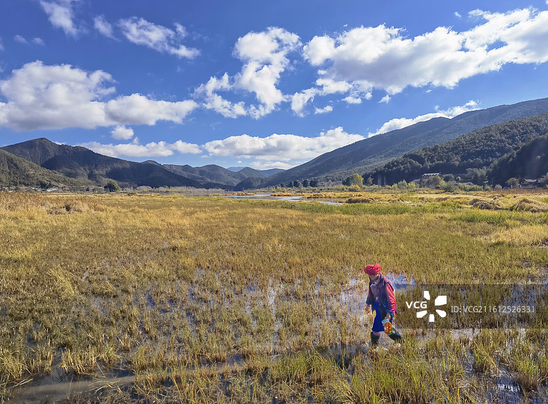泸沽湖草海行图片素材