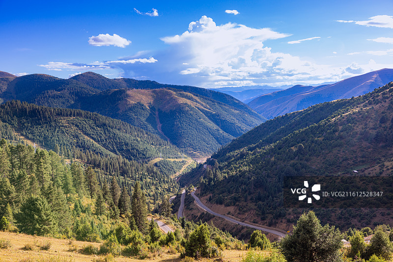 宗塔草原是位于中国四川省甘孜藏族自治州炉霍县东北部的高山牧场，以七彩花海、传统游牧文化和特色旅游图片素材