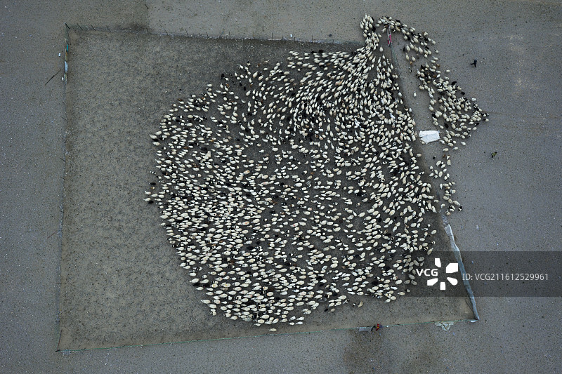 极地那曲那仓申扎图片素材