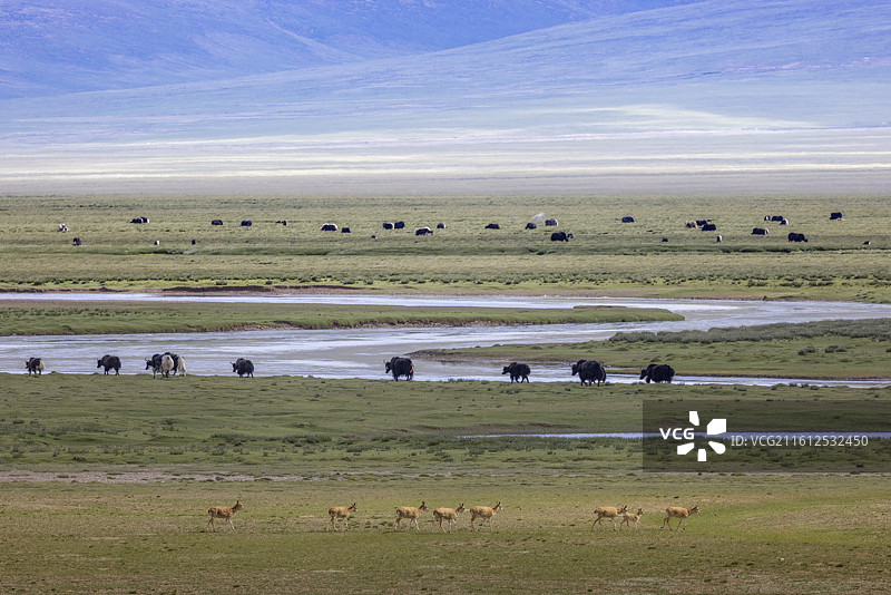 极地那曲那仓申扎图片素材