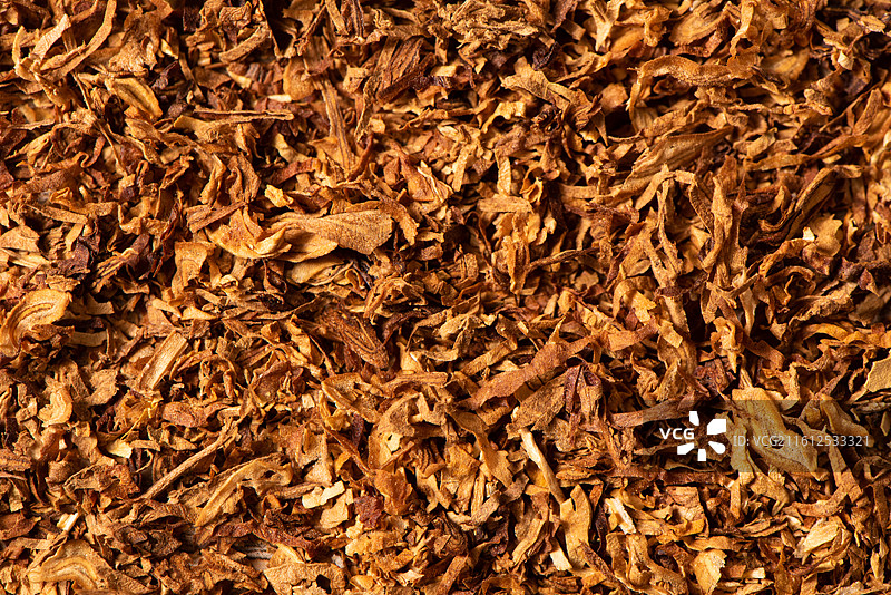 烘烤的烟叶烟丝特写图片素材