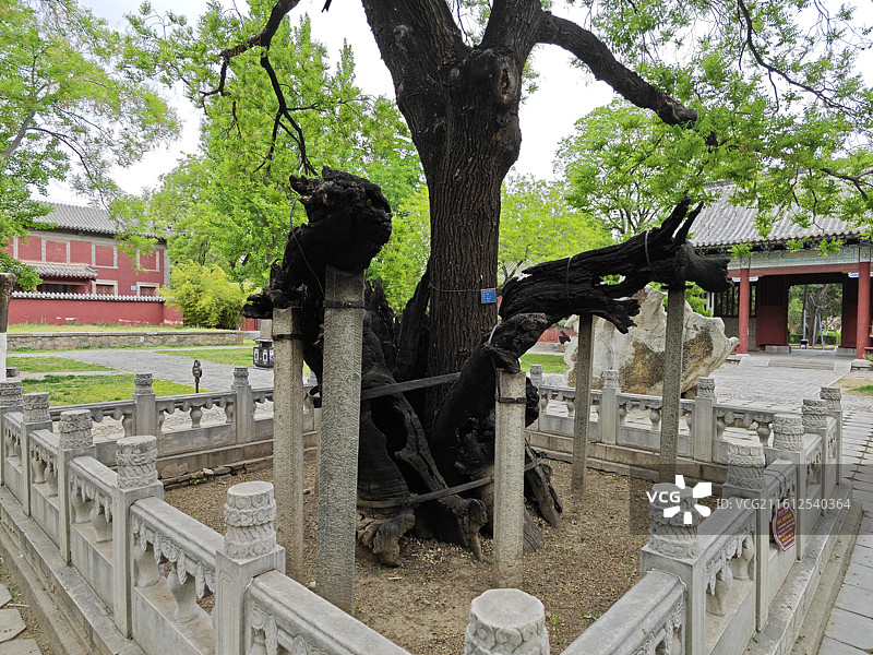 泰安岱庙中国古建筑石碑博物馆展览图片素材