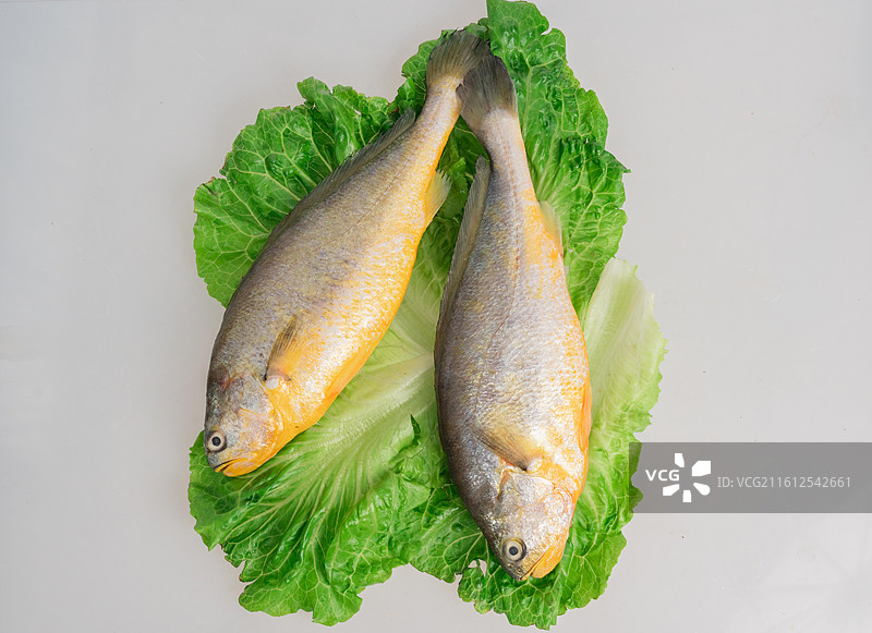 黄花鱼图片素材