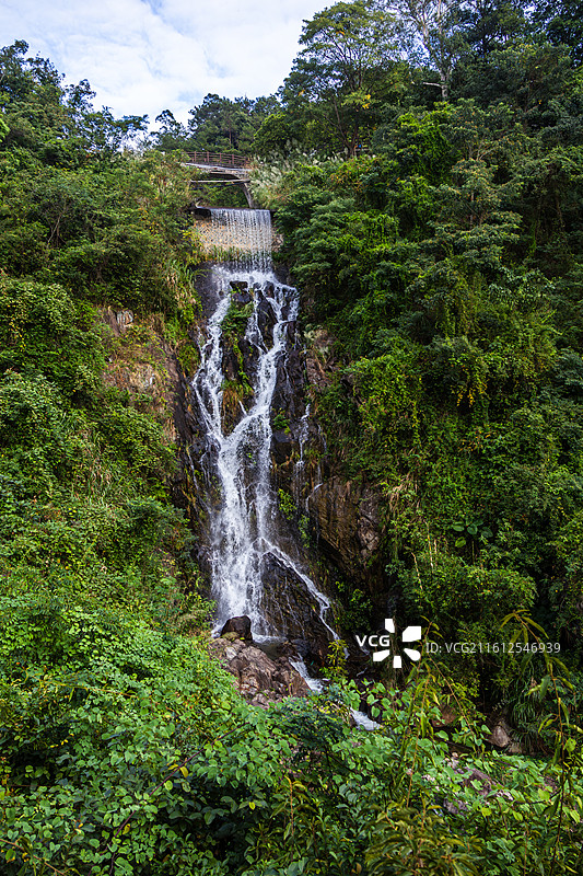 厦门天竺山森林公园图片素材