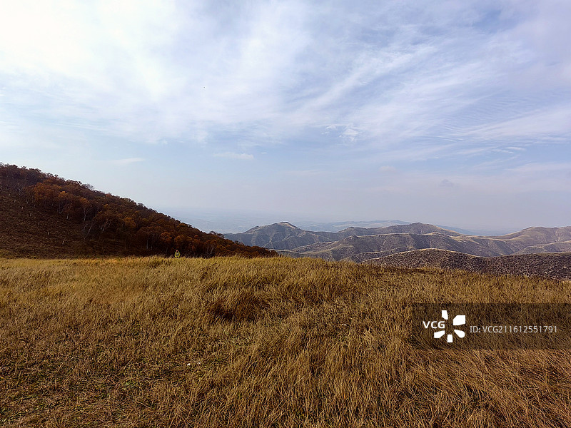 高山草原秋景系列——拍摄于呼和浩特赛罕区黄花窝铺图片素材