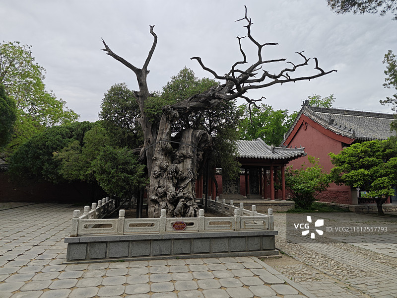 泰安岱庙中国古建筑石碑博物馆展览图片素材