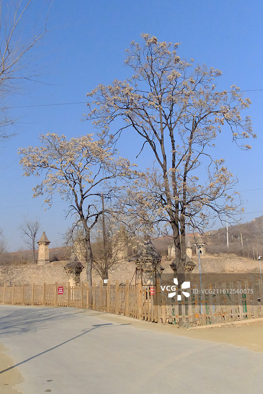 河北石家庄平山县万寿寺塔林。图片素材