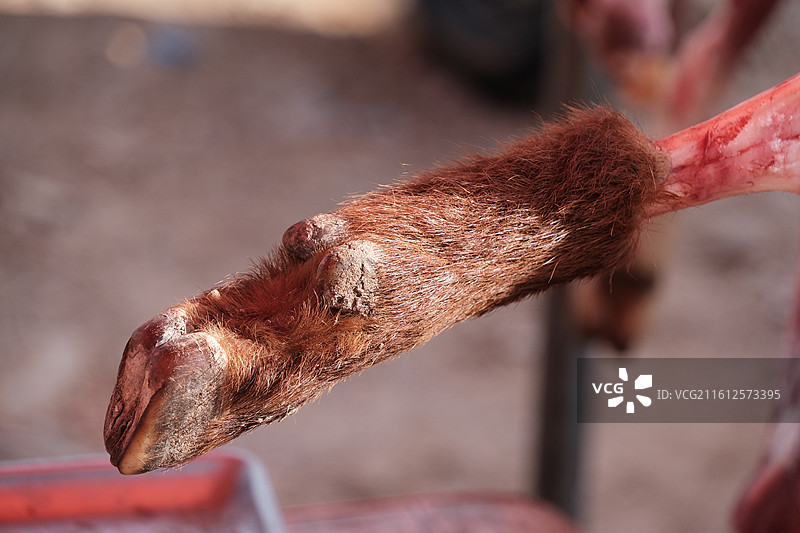 农民幸福生活，春节大集真热闹图片素材