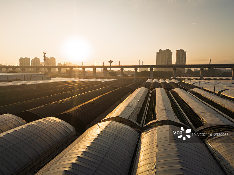 福建厦门天竺山日落时分的铁路货场图片素材
