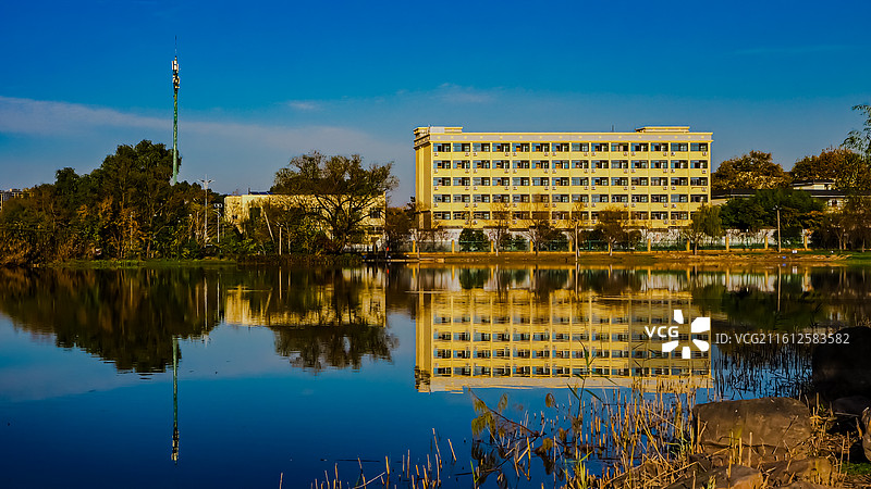 合肥植物园秋色图片素材