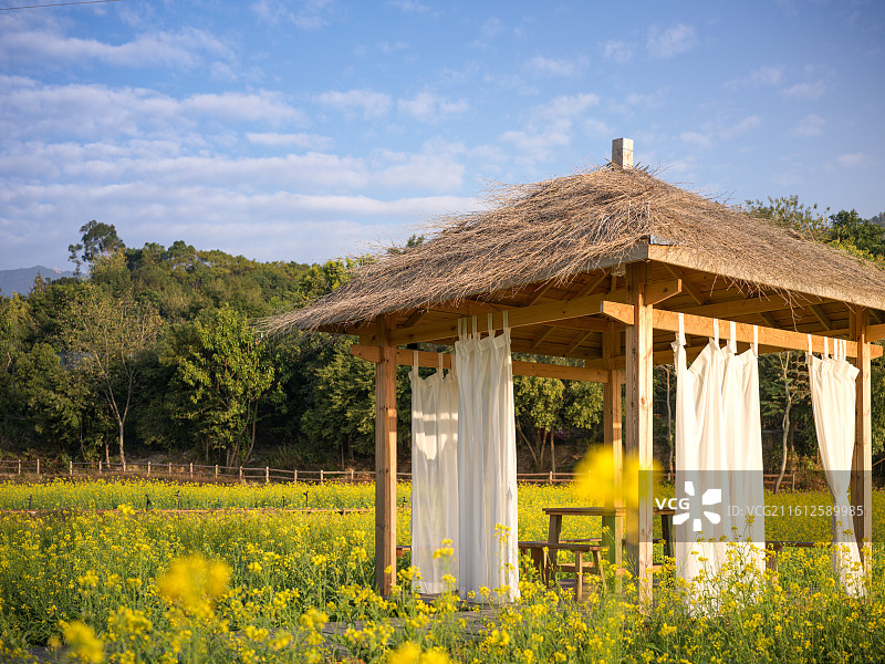 福建厦门海沧区天竺山花田中的茅草凉亭图片素材