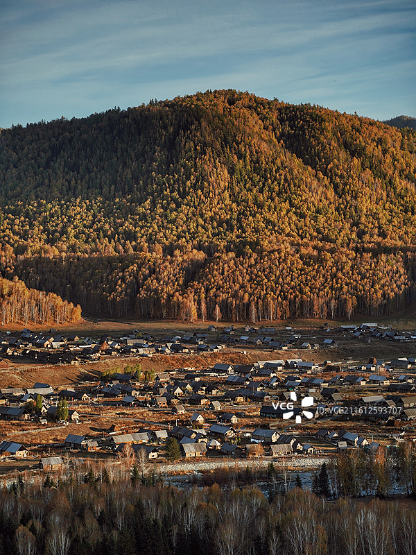 新疆阿勒泰禾木村的秋天图片素材