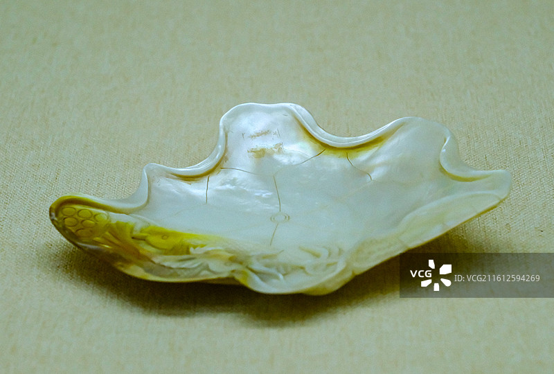 中国海南省三亚市三亚山海贝文化博物馆藏品 ，砗磲饰品，珍珠贝饰品，螺钿饰品，砗磲制品图片素材