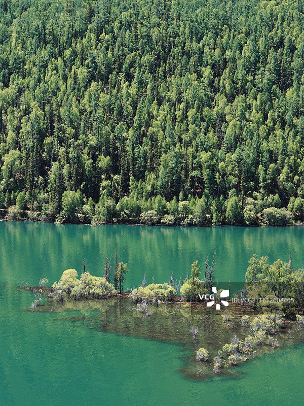 新疆阿勒泰喀纳斯图片素材