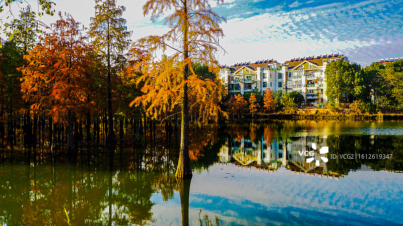 合肥植物园秋色图片素材